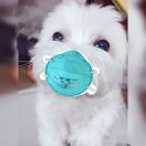 Ang*l.Y